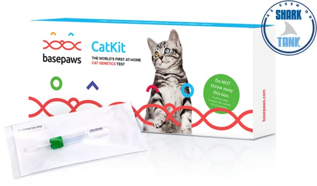 Basepaws - World’s Only Cat  DNA Test Kit (As Seen on Shark Tank!)