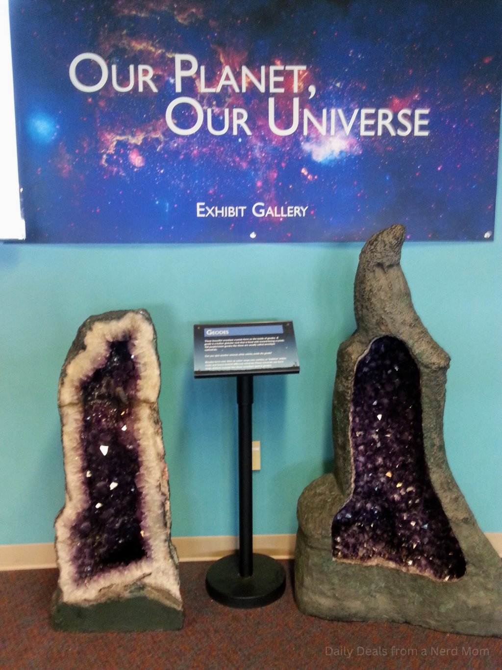 Explore & Discover at the Orlando Science Center!